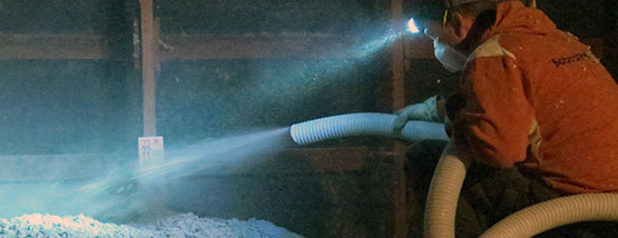 blown-in-insulation Bats nesting in attic space - Attic Insulation