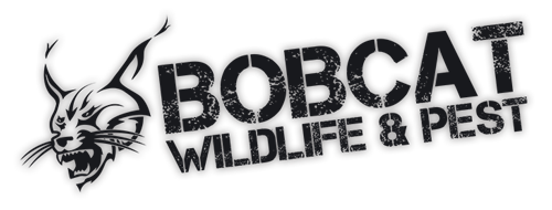Bobcat Wildlife and Pest Management Logo Bobcat Wildlife and Pest Management Logo