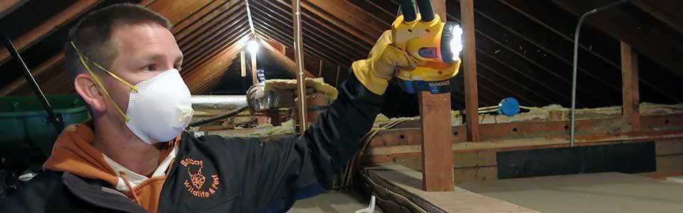 residential home inspection in Waterloo residential home inspection in Waterloo