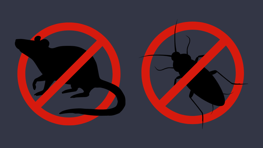 Pest Control Service in Jesup, IA Pest Control Service in Jesup, IA