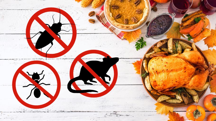 Thanksgiving Pest Control