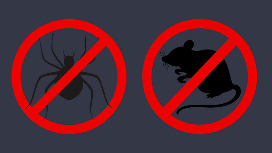 Pest Control Service in Waterloo, IA Pest Control Service in Waterloo, IA